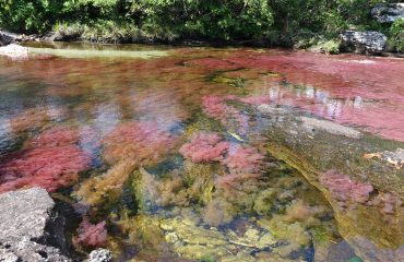 Kolumbien Canyo Cristales