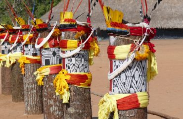 Xingu-Kwarup-Fest-Totenpfähle